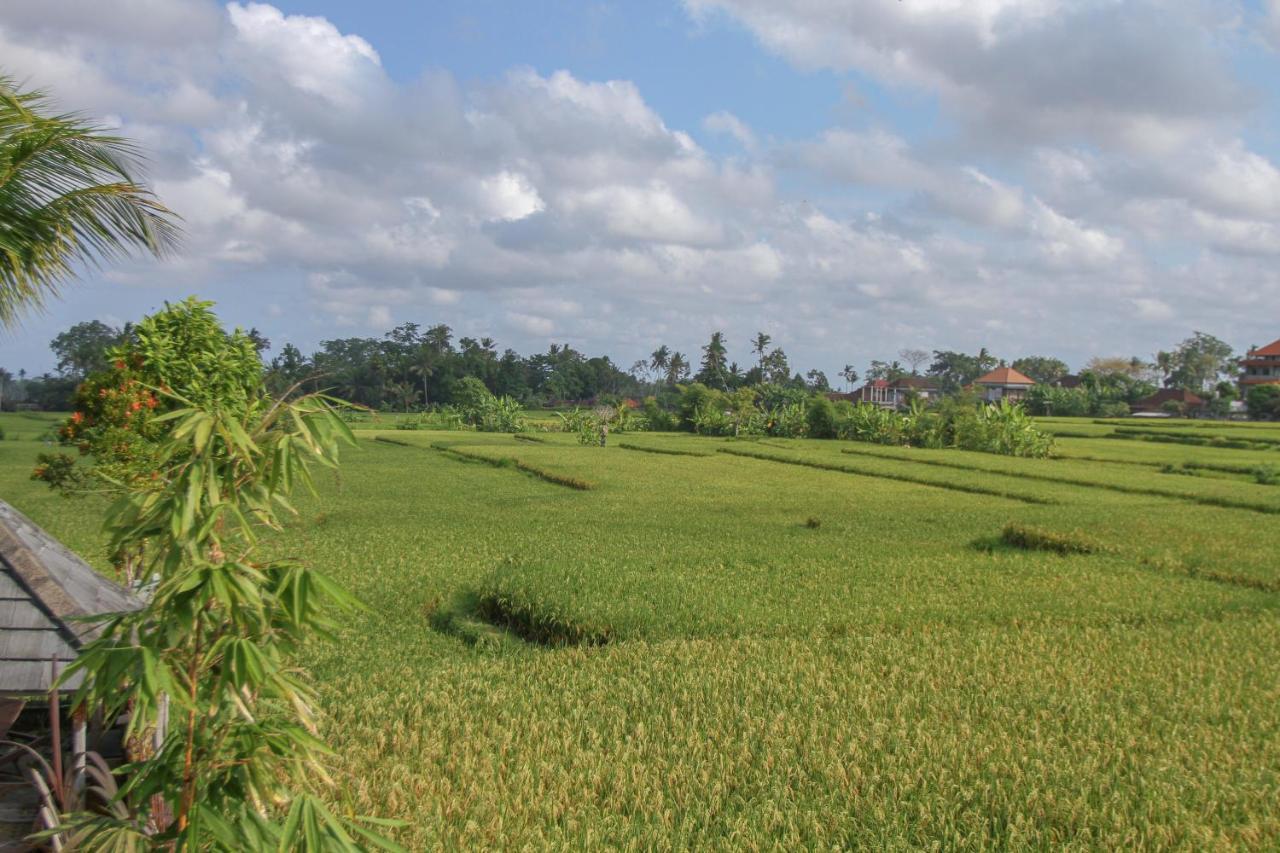 Kubu Sari Ubud 외부 사진