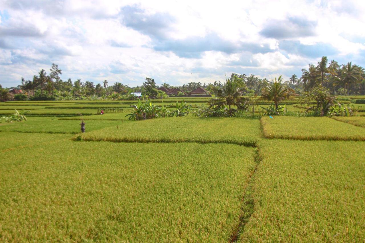 Kubu Sari Ubud 외부 사진